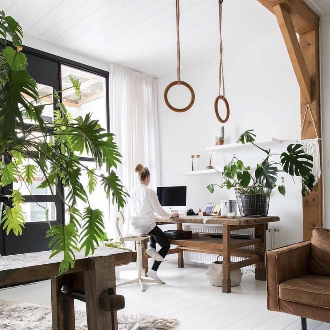 Houten ringen Houten ringen
