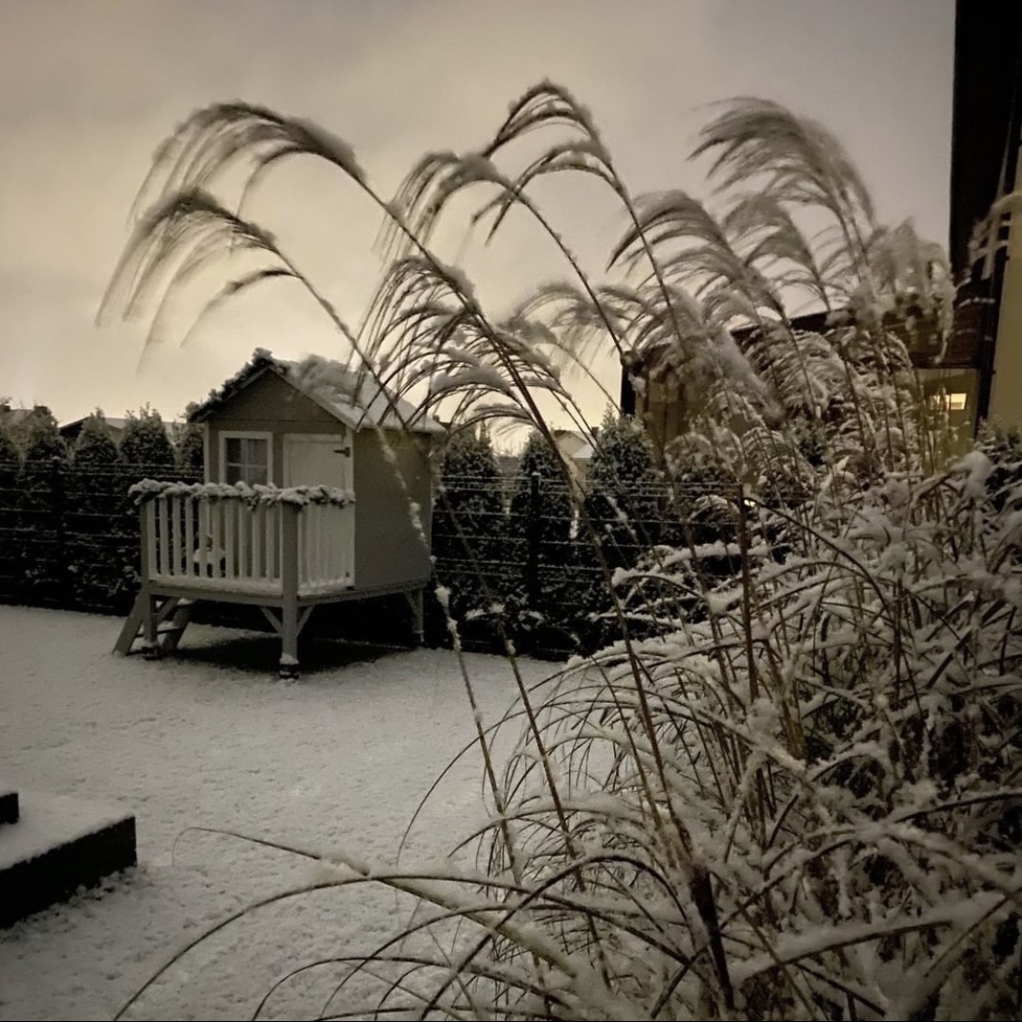 Safari houten speelhuis Schildpad - Inspiratie Safari houten speelhuis Schildpad - Inspiratie