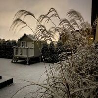 Safari houten speelhuis Schildpad - Inspiratie